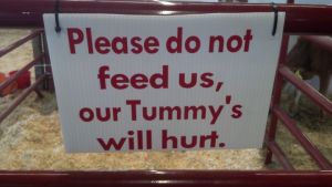 hurts our tummy's